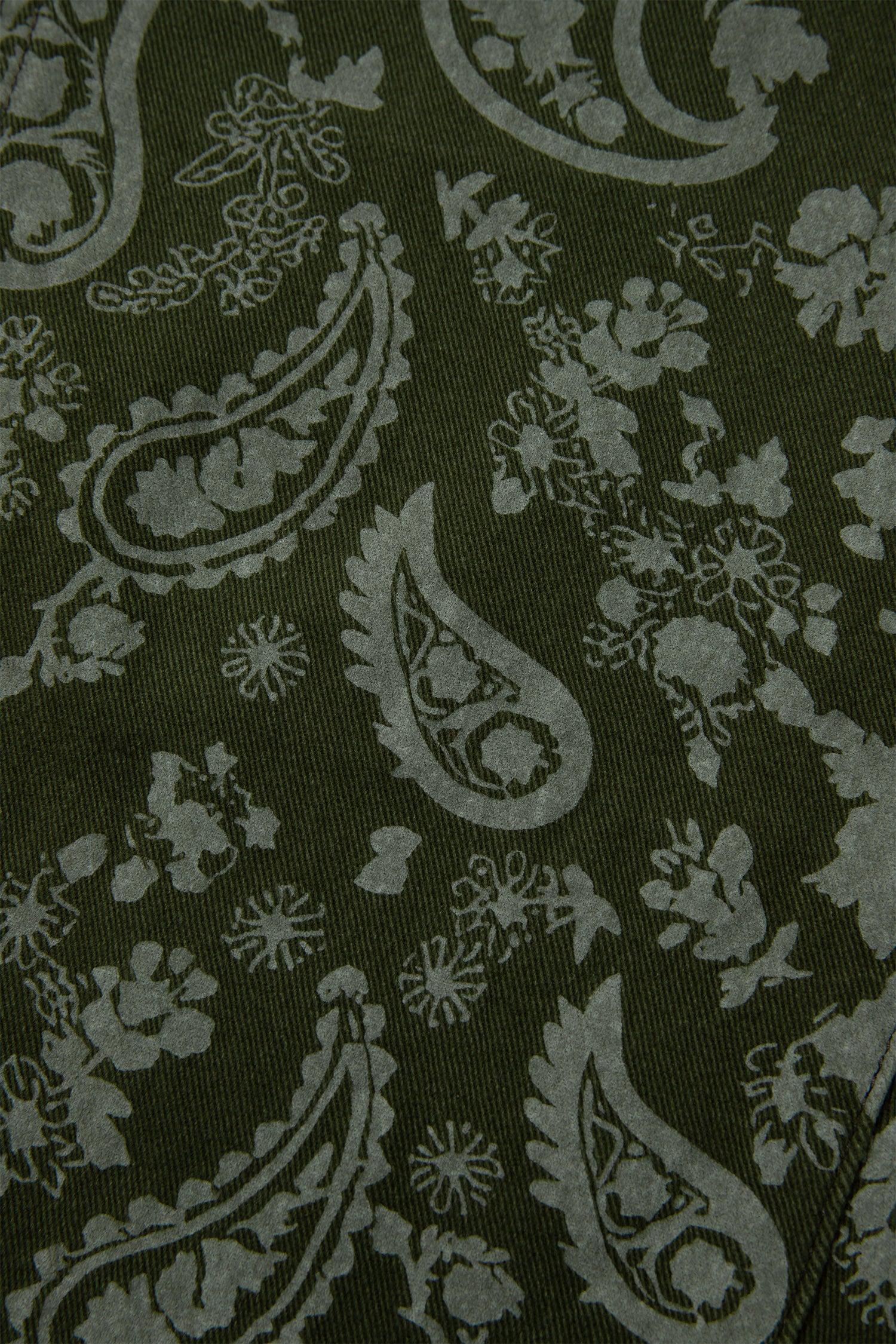 Green Paisley Print Harem Denim Pants